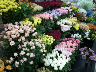 「芳花園」　（愛知県名古屋市中区）の花屋店舗写真3